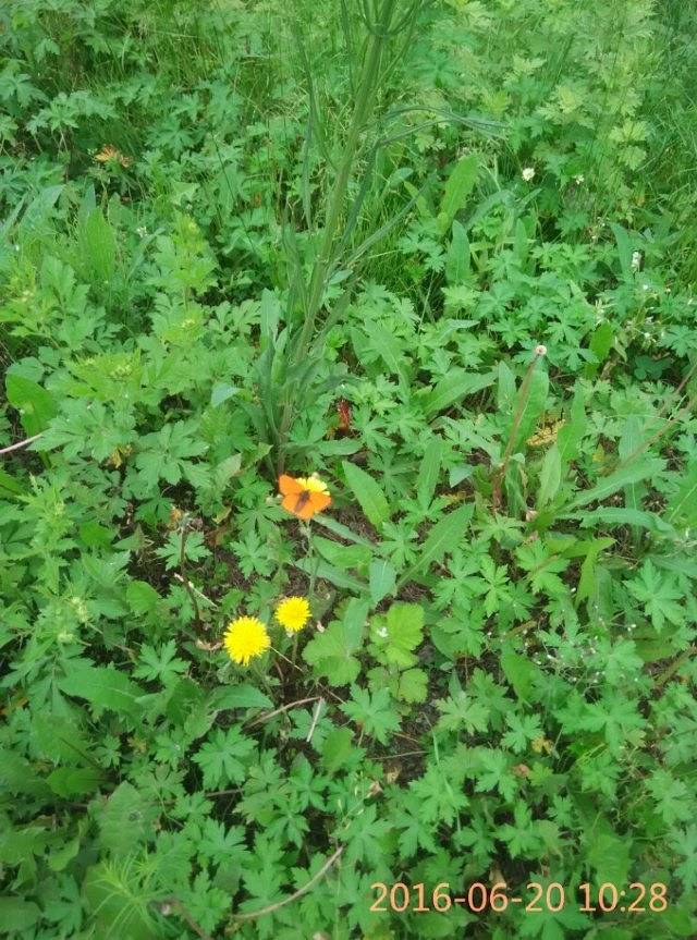 虎林市月亮岛俄罗斯风情水上乐园