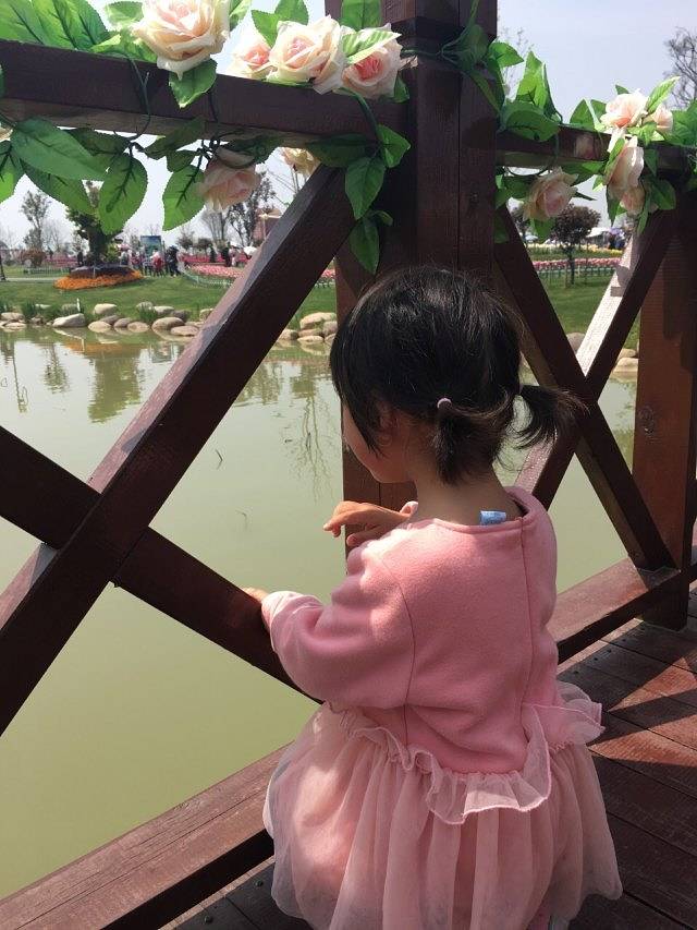 金沙湖旅游度假区