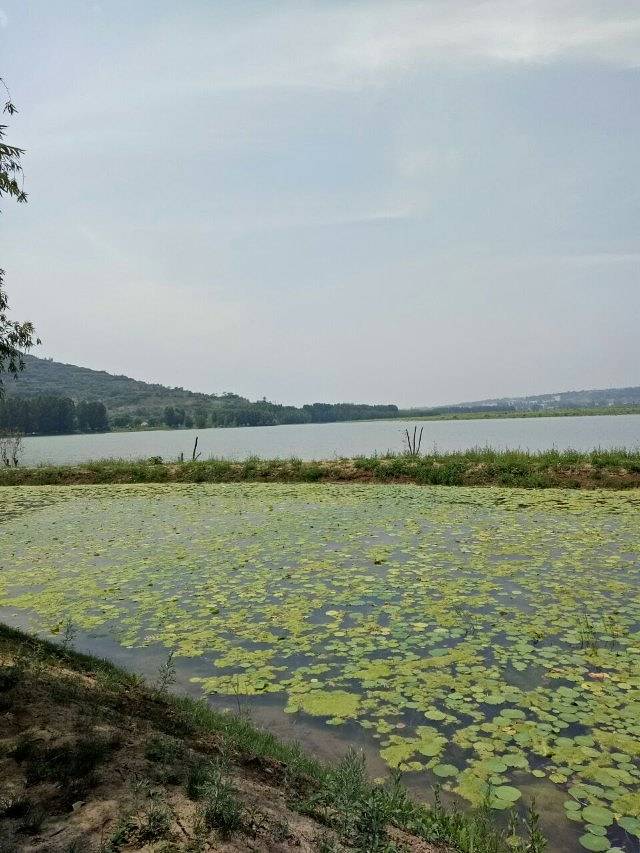 千湖国家湿地公园
