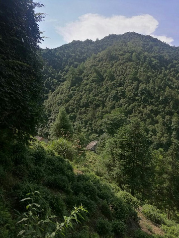 "由于夏天天气酷暑炎热，越往上走越累，不一会儿，已是汗流浃背了到了高处往下看，山谷两侧，处处是断崖绝壁_华东大裂谷"的评论图片