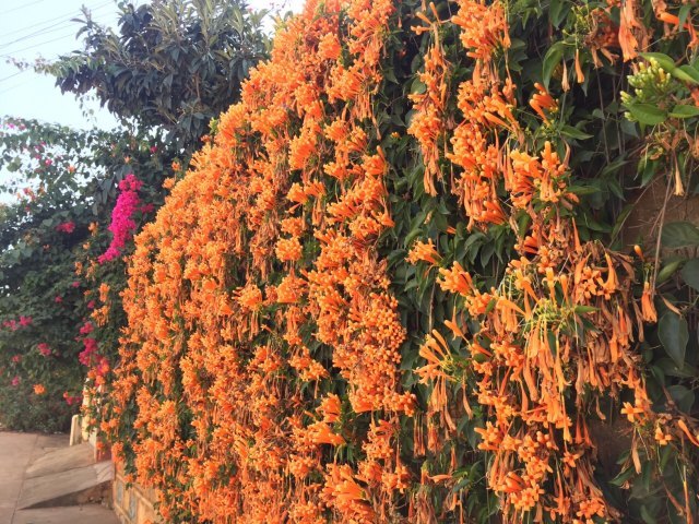 大理州祥云水目山文化旅游区