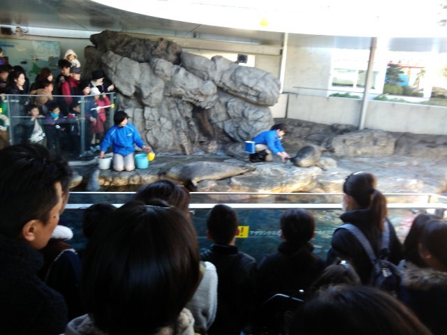 品川麦克赛尔水族馆