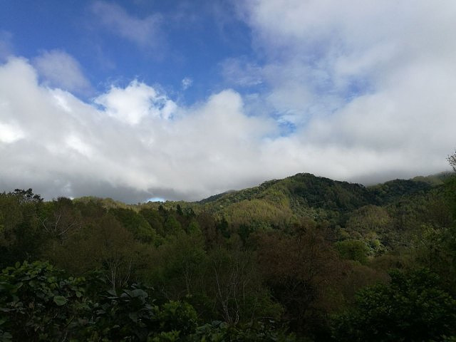 "雨林边缘开辟的一小片地方，风景优美，入口处可以眺望一下五指山，面积不大，2-3小时就转完了，有..._五指山水满河热带雨林风景区"的评论图片