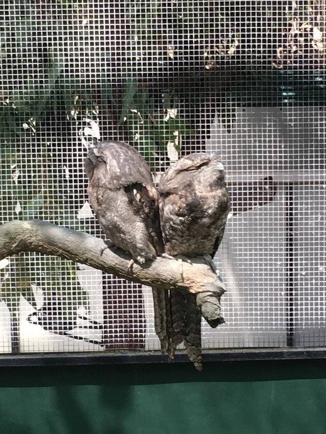 道格拉斯港野生动物栖息地