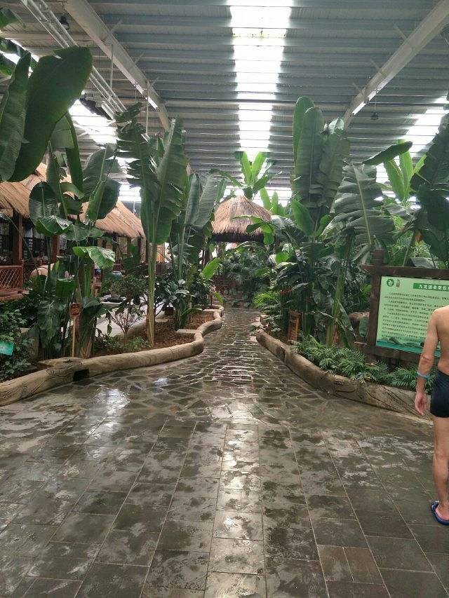 九龙温泉度假村