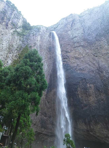 "广东韶关有名景点！门票不贵，性价比很高！自然风光旖旎的大峡谷！山路十八弯，环境优美，植被覆盖率高_广东大峡谷"的评论图片