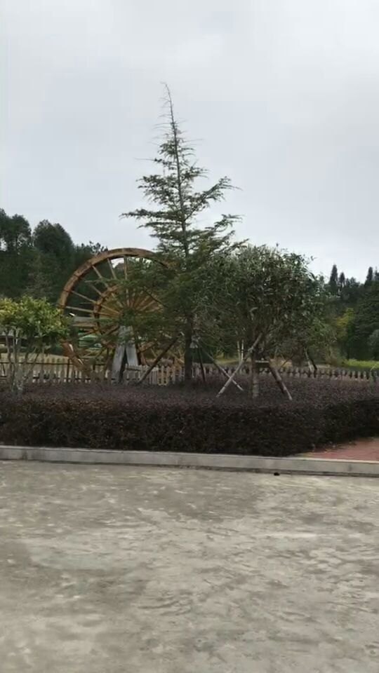 华祥苑茶庄园(珠塔村店)