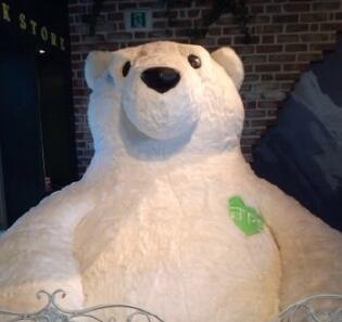 朝安泰迪熊博物馆