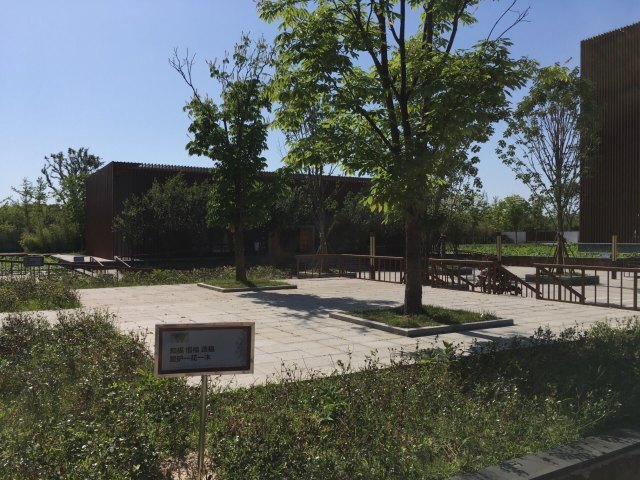 白塘河湿地公园