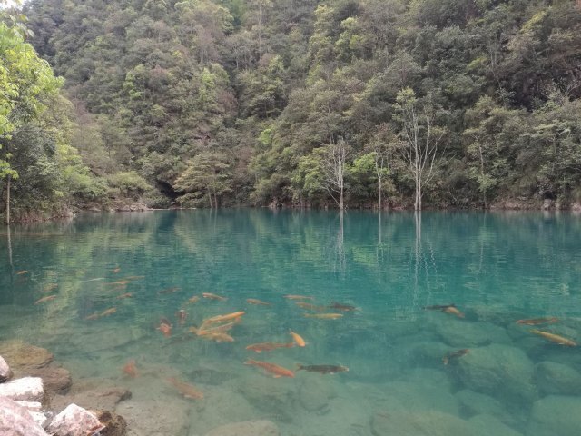 武夷山泰平洋水上广场