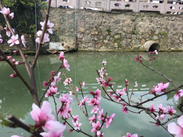 哈密赏石文化博物馆