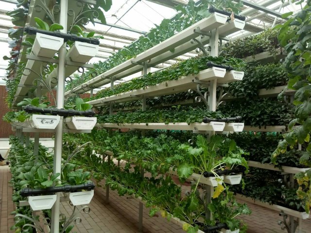 宁夏农旅产业园