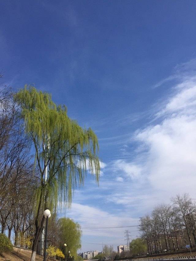 京城水系八一湖码头