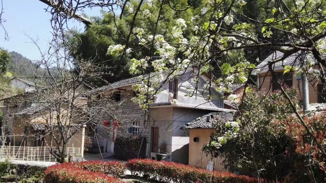 古田山自然保护区