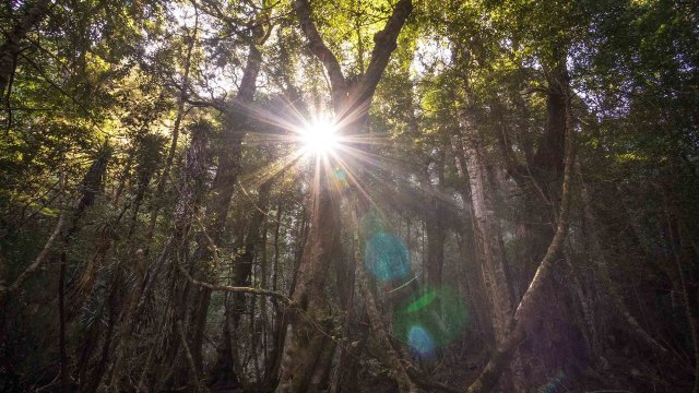 王屋山漂流西山勇士漂