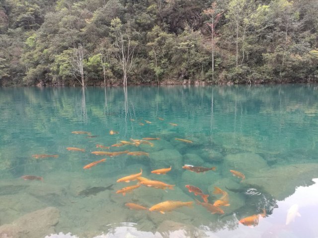 武夷山泰平洋水上广场