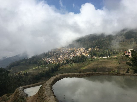 多依树梯田旅游景点攻略图