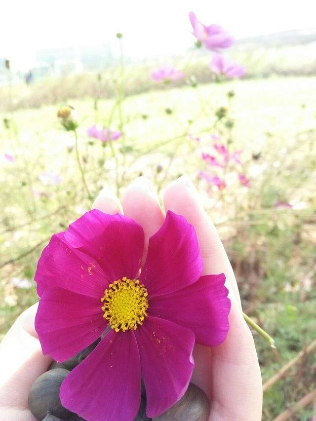 冷水尖生态风景区