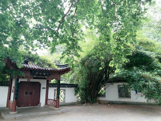 马鞍山森林公园