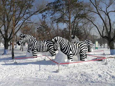 太阳岛雪博会旅游景点攻略图