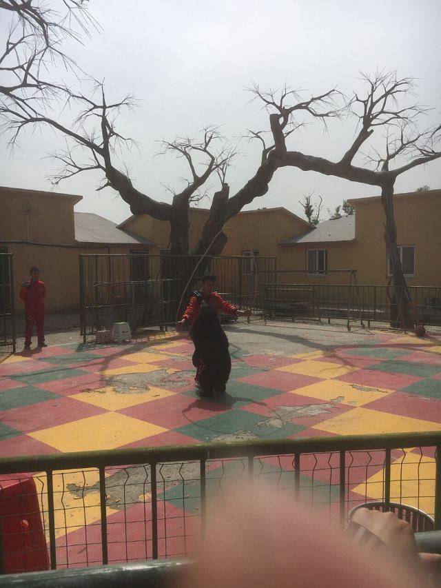 盐城大丰港动物园