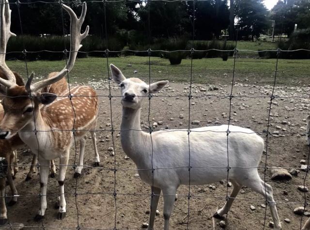 柳岸野生动物保护区