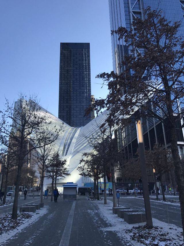 世界贸易中心一号大楼