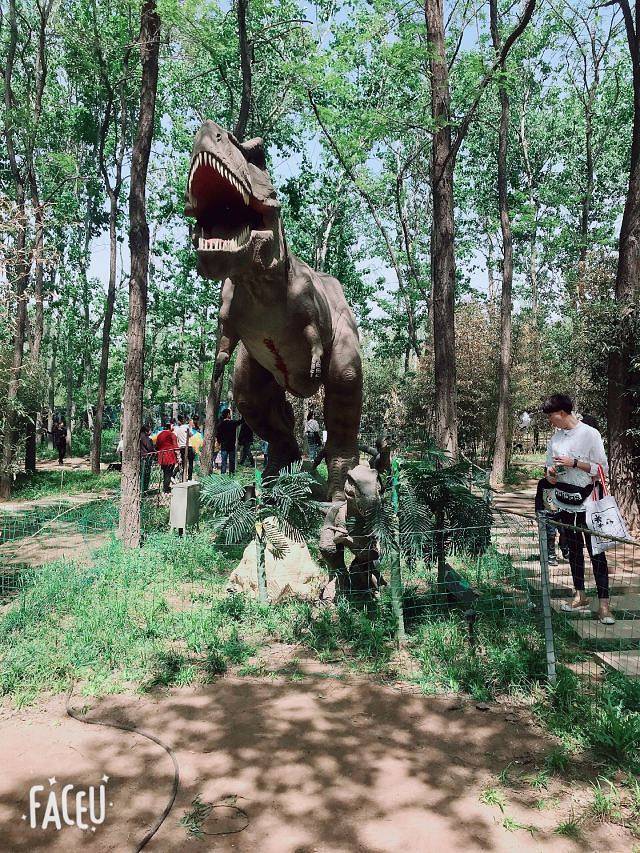 中原绿色庄园景区