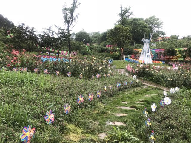 重庆歌乐山桃花谷