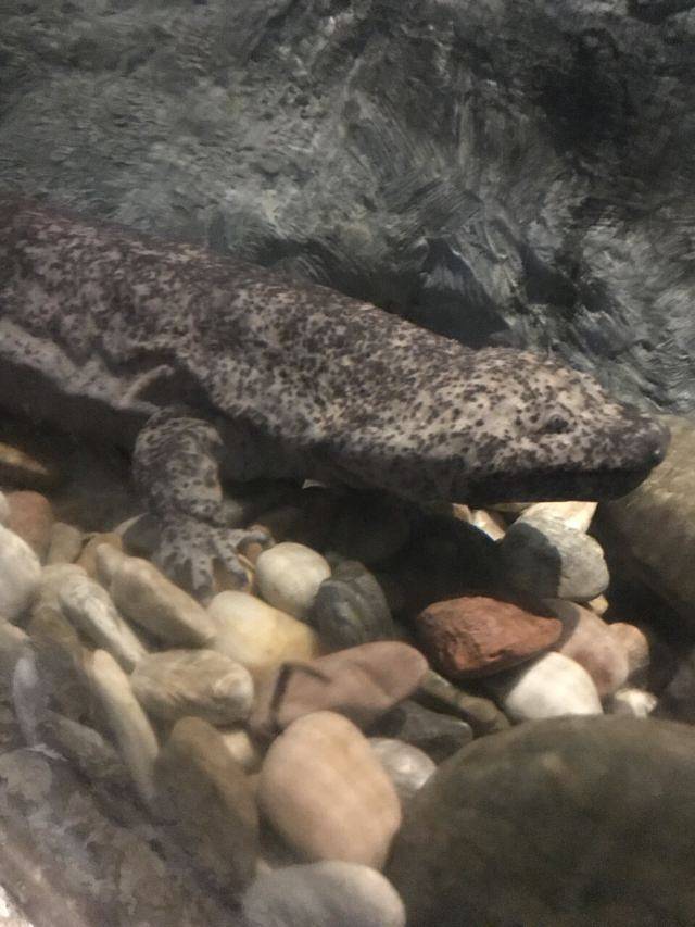 中国湿地博物馆