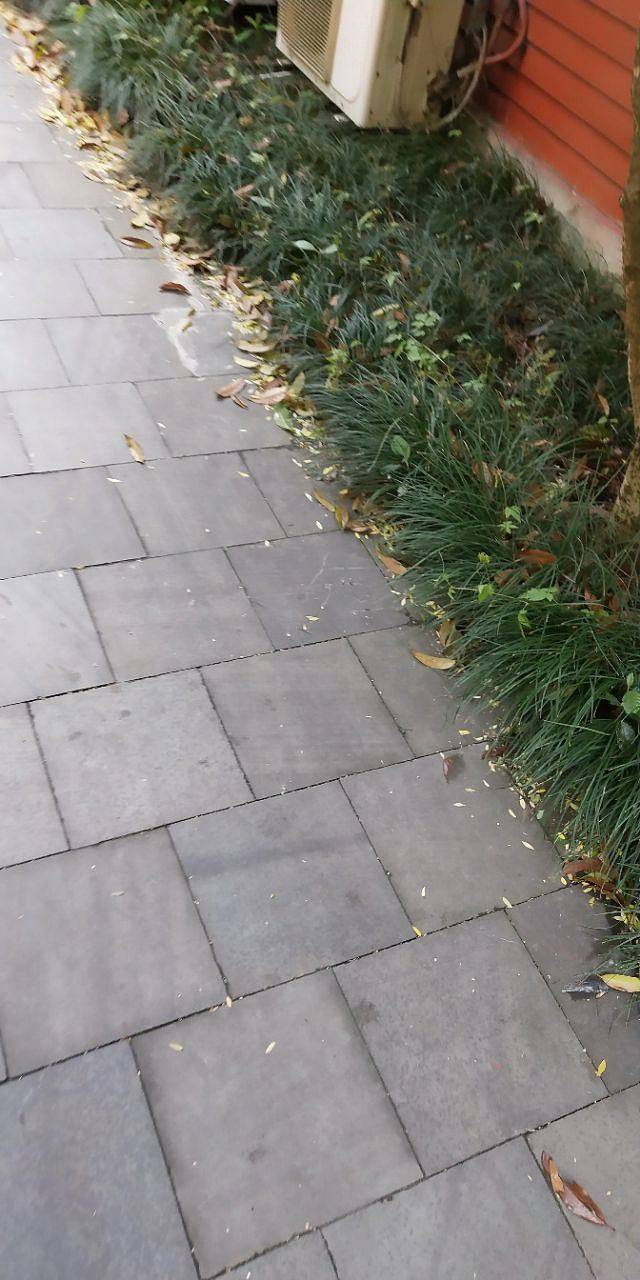 塘栖枇杷特色园区