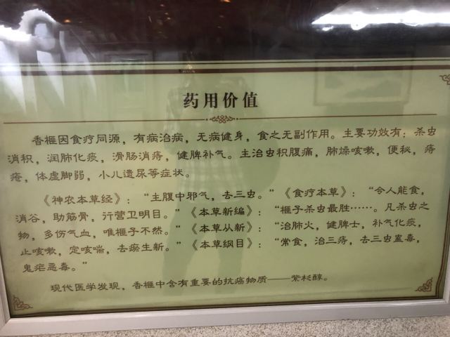 香榧森林公园