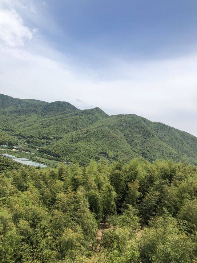 浙东大竹海景区