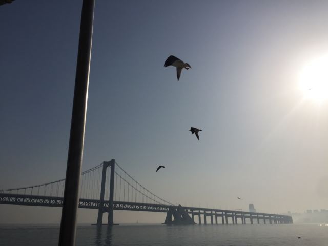 天祥号观光游轮