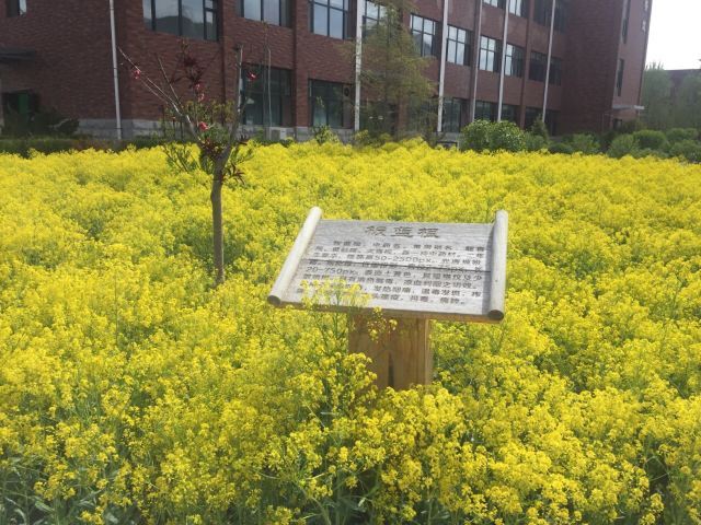 悦心温泉水世界