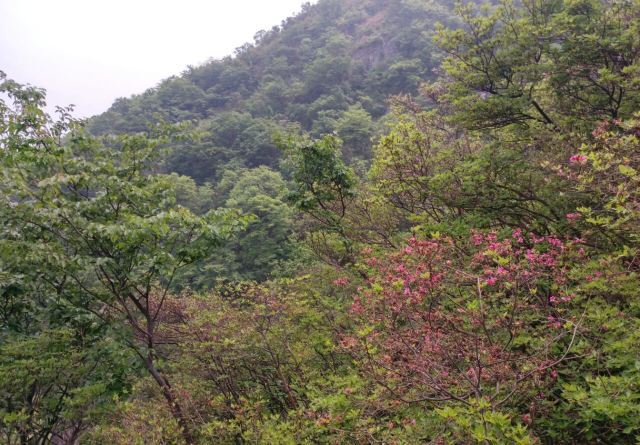 英山县天马寨风景区