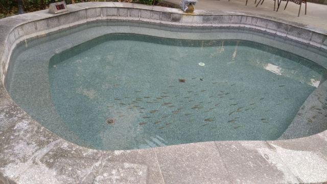 金汤池温泉度假村