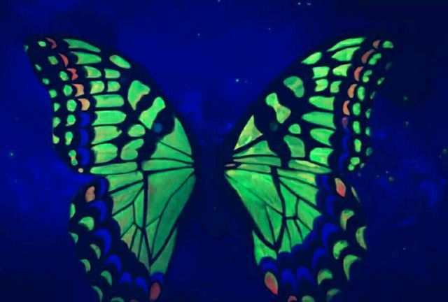 751活的3D博物馆