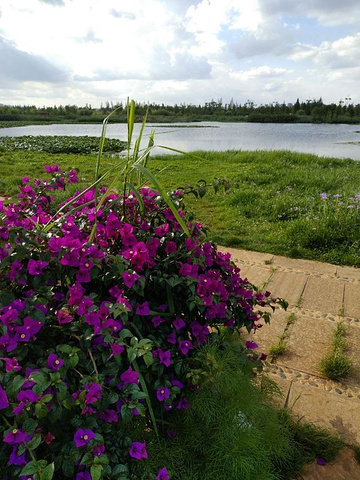 "度假村面积很大的，当然此西湖非彼西湖的，但这儿风景相当的好，湖光山色一样的，因为是度假村，所以..._西湖度假村"的评论图片