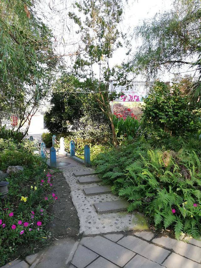 中华蝴蝶生态城