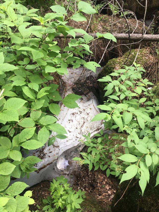 亚布力虎峰岭风景区