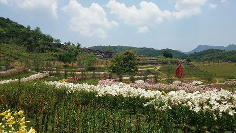 千岛湖石林景区旅游景点攻略图