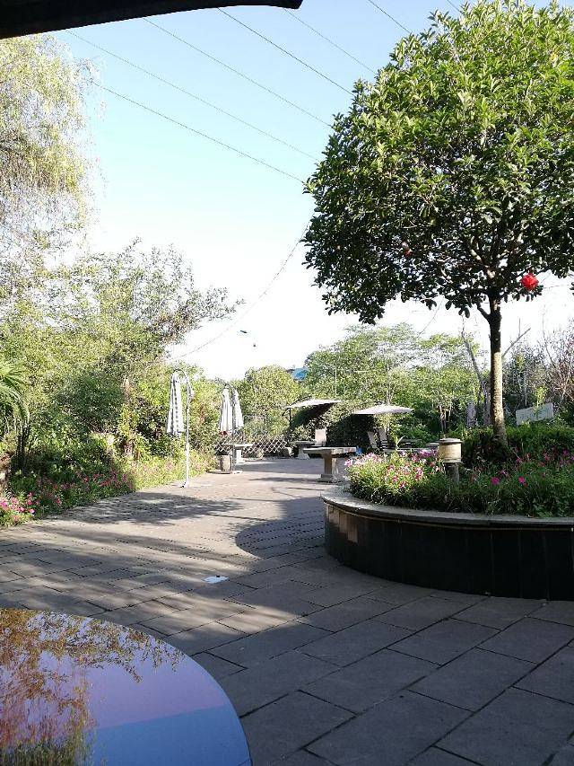 中华蝴蝶生态城