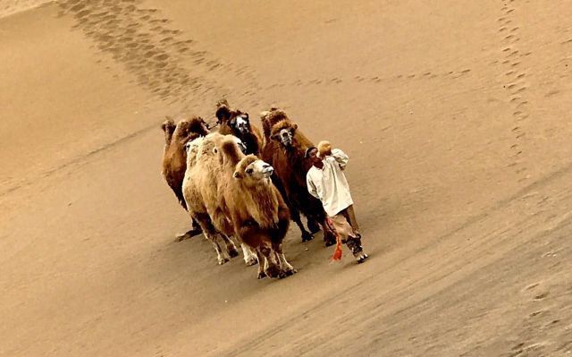 库木塔格沙漠景区-沙山公园
