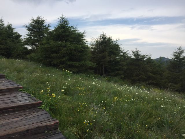红崖峡谷滑雪场