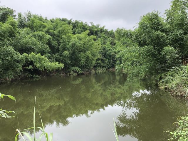 沐川竹海旅游景区
