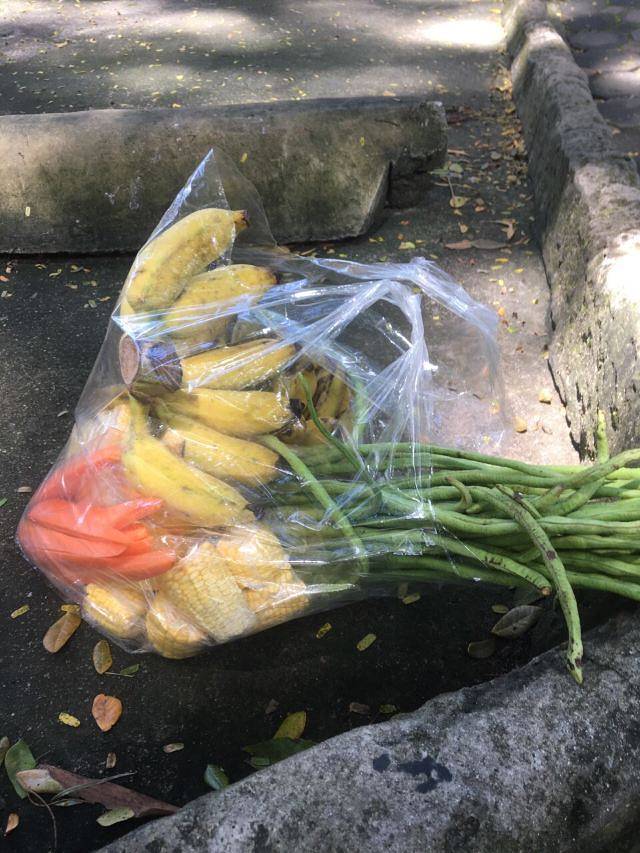 绿山野生动物园