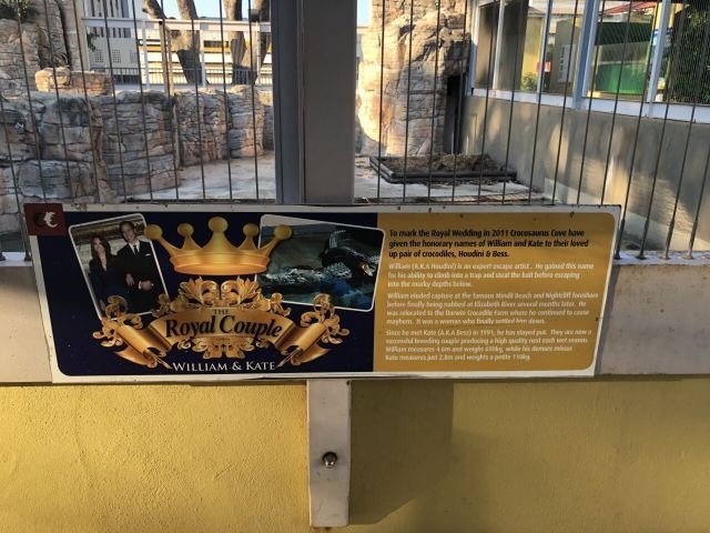 可可洛思鳄鱼湾主题公园