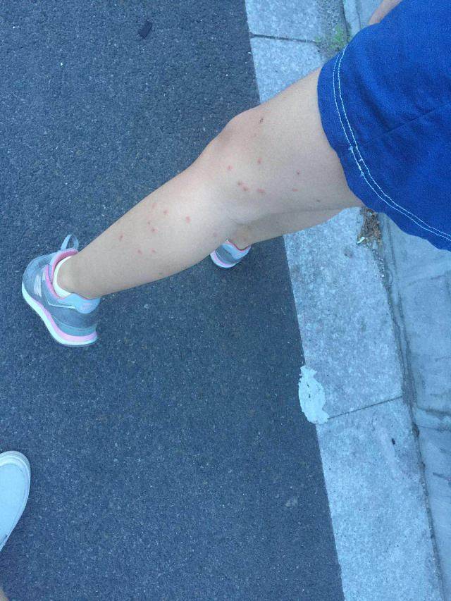 沙溪三井龙潭漂流