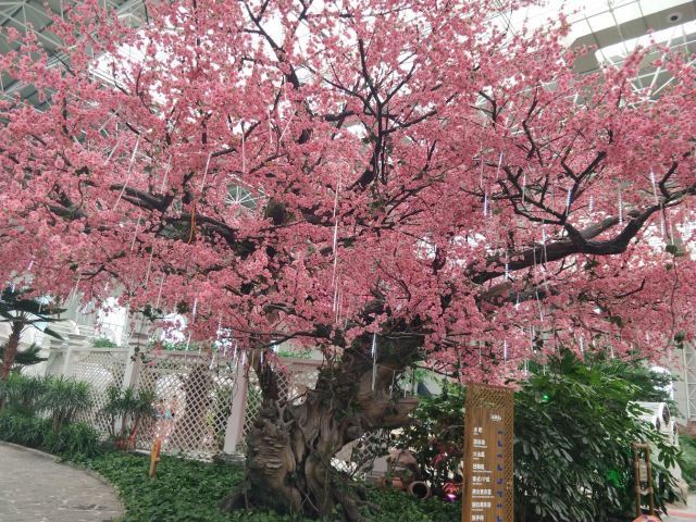 美丽岛温泉水乐园